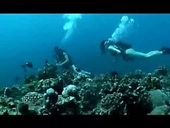 Экстремальная порка в глубине океанских коралловых рифов